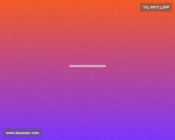 鲁能泰山足球赛事全面追踪最新战况深度解析与未来展望